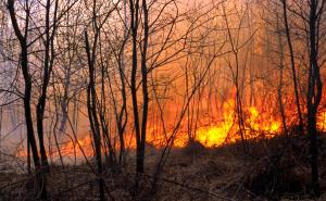 Feuerwehren im Kampf gegen Waldbrände gestärkt