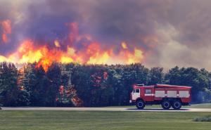 Waldbrandexperte fordert umfangreichen Maßnahmenkatalog