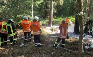 Waldbrand endet glimpflich - Hohe Waldbrandgefahr im Landkreis