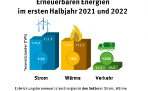 Monatsbericht Plus - Erneuerbare Energien in Deutschland