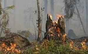 VORANKÜNDIGUNG – Einsatznachbesprechung Waldbrandsaison