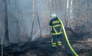 Geodaten – ein Instrument für Katastrophen­prävention in Waldbrandzeiten?