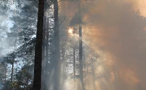 Luft- und Gesundheitsbelastung durch Waldbrände