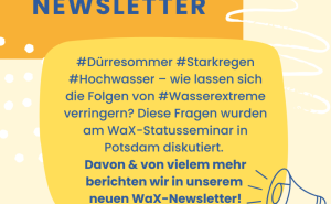SECHSTER WAX-NEWSLETTER ERSCHIENEN!