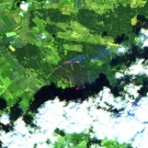 Aktive Feuer werden im Sentinel-2 Falschfarbenbild dargestellt.
