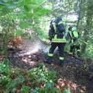 Einsatzkräfte löschen einen Waldbrand