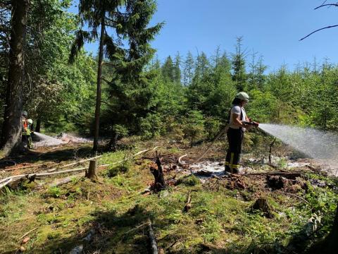 Waldbrandbekämpfung in Lennestadt