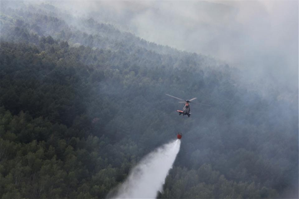 Vegetationsbrand fordert Einsatz des Hubschraubers der Bundespolizei.