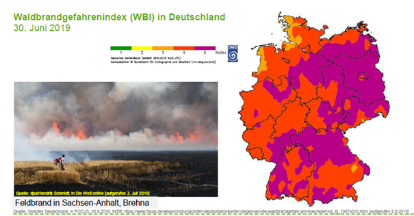 Waldbrandgefahrenindex WBI für Sachsen-Anhalt, Brehna