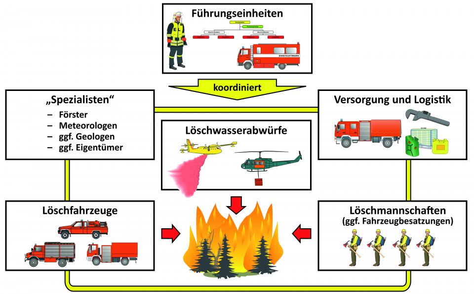 Operation verbundener Kräfte bei der Vegetationsbrandbekämpfung.