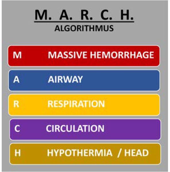 Schematische Abbildung des M.A.R.C.H: Algorithmus
