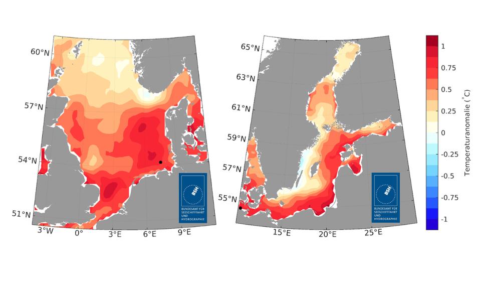 So wichen die Jahresmitteltemperaturen 2023 in der Nordsee (links) und in der...