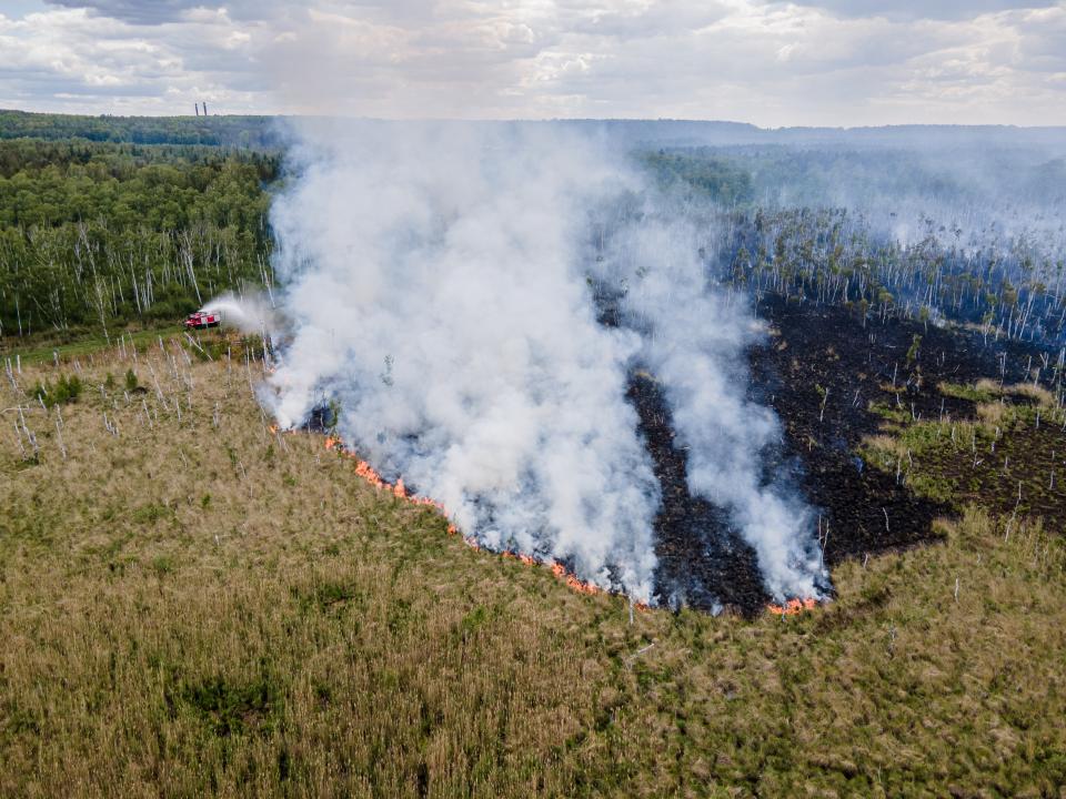 Waldbrand in Brandenburg